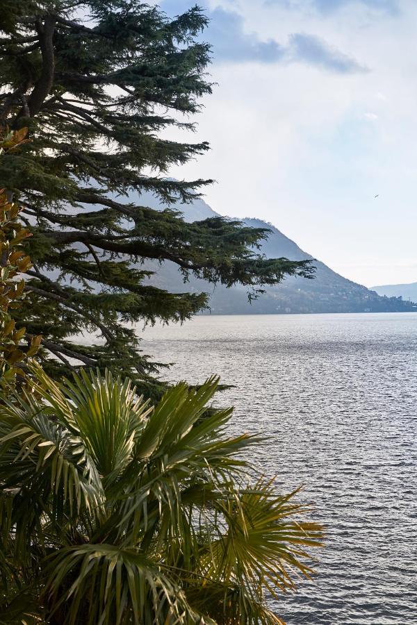 Villa Lario Lake Como 포그나나 라리오 외부 사진